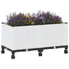 Product Thumbnail Image 3 of 8
