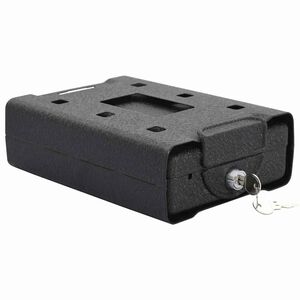 vidaXL Car Safe with Lock Black 22 x 16 x 7 cm Steel