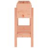 vidaXL Garden Raised Bed 101x30x69 cm Solid Wood Douglas