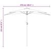 Product Thumbnail Image 9 of 9