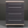 Germania Rolling Filing Cabinet Duo 42x45x60 cm Anthracite