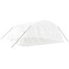 vidaXL Greenhouse with Steel Frame White 30 m&sup2; 6x5x2.3 m