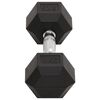 vidaXL Dumbbells 2 pcs 16 kg Total Cast Iron