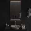 vidaXL LED Bathroom Mirror 50x90 cm