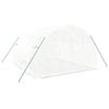 vidaXL Greenhouse with Steel Frame White 12 m² 4x3x2 m