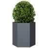Product Thumbnail Image 5 of 13