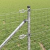 Product Thumbnail Image 5 of 17