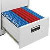 vidaXL Filing Cabinet Light Grey 46x62x72.5 cm Steel