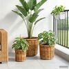Product Thumbnail Image 3 of 9