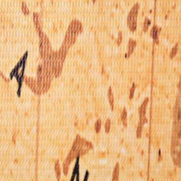 vidaXL Folding Room Divider 160x170 cm World Map Yellow