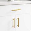 vidaXL Cabinet Handle 510 pcs Gold 150 mm Stainless Steel