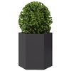 vidaXL Garden Planter Black Hexagon 46x40x45 cm Steel
