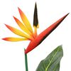 Product Thumbnail Image 5 of 6