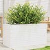 Product Thumbnail Image 2 of 10