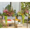 Product Thumbnail Image 6 of 6