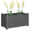 vidaXL Garden Planter Grey 60x31x31 cm Solid Pinewood