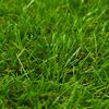 vidaXL Artificial Grass 1.33x5 m/40 mm Green