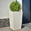 Product Thumbnail Image 2 of 12