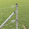 Product Thumbnail Image 5 of 17