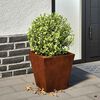 vidaXL Garden Planters 2 pcs 30x30x30 cm Weathering Steel