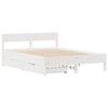 Product Thumbnail Image 3 of 12