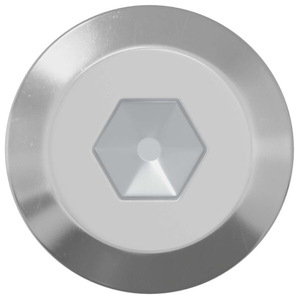 vidaXL Screw 12 pcs Silver M6 x 60 mm Steel