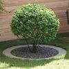 Product Thumbnail Image 2 of 10