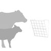 Product Thumbnail Image 11 of 14