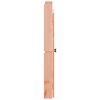 vidaXL Outdoor Kitchen Doors MEPPEL 2 pcs 50x9x82 cm Solid Wood Douglas
