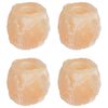 vidaXL Salt Stone Tealight Holders Pink Rock Salt