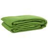 vidaXL Tent Carpet Light Green 200x300 cm HDPE