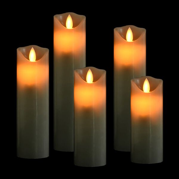 vidaXL 5 Piece Electric LED Candle Set with Remote Control Warm White