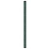 vidaXL Weed Membrane Green 2x150 m PP