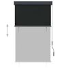 vidaXL Outdoor Roller Blind 100x250 cm Anthracite
