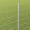 Product Thumbnail Image 4 of 7