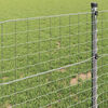 vidaXL Euro Fence Silver 0.6 x 10 m Hot dip galvanized iron