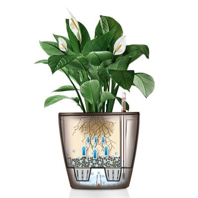 LECHUZA Planter CLASSICO LS 43 ALL-IN-ONE Taupe High Gloss 16085