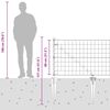 Product Thumbnail Image 16 of 16