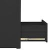 vidaXL Filing Cabinet Anthracite 46x62x72.5 cm Steel