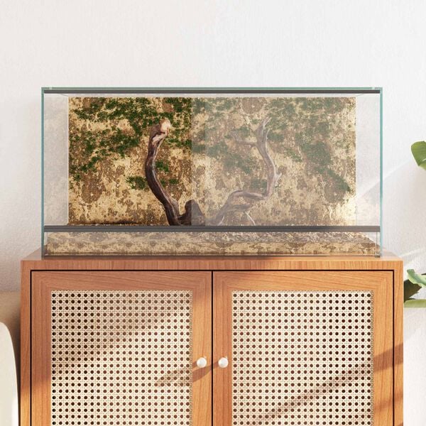vidaXL Terrarium with Storage Transparent 80 x 40 x 40 cm Glass