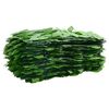 vidaXL Balcony Screen with Green Leaves 600x100 cm