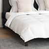 vidaXL Duvet Set with Pillow 3 pcs White Down Feather
