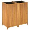 vidaXL Garden Planter with Liner 100x50x100 cm Solid Wood Acacia