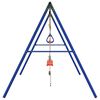 vidaXL Outdoor Swing Set with Swings. Trapeze. Ladder