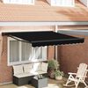 vidaXL Retractable Awning Black 300 x 250 cm Polyester and Metal