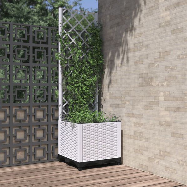 Showing Product Image 1 of 8