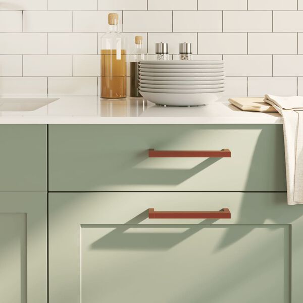 vidaXL Cabinet Handles 20 pcs Bronze 160 mm Stainless Steel