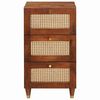 vidaXL Sideboard Brown 40 x 33.5 x 75 cm Cane and solid mango wood