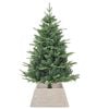 Product Thumbnail Image 3 of 7