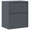 vidaXL Storage Cabinet Anthracite 60 x 40 x 70 cm Cold-Rolled Steel
